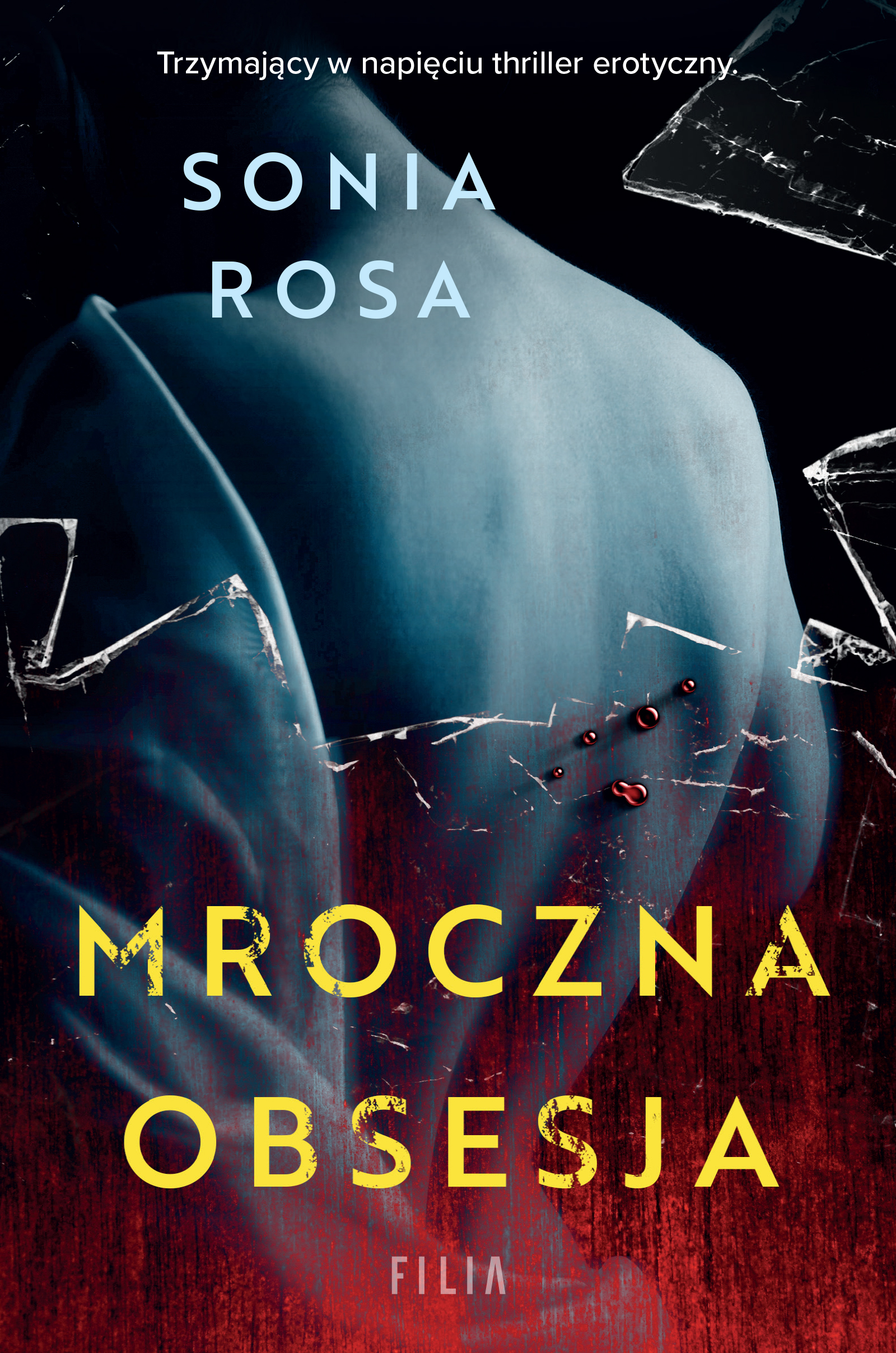 Tytuł: Mroczna obsesja
Autor: Sonia Rosa
Wydawnictwo: FILIA
Formaty: EPUB, MOBI