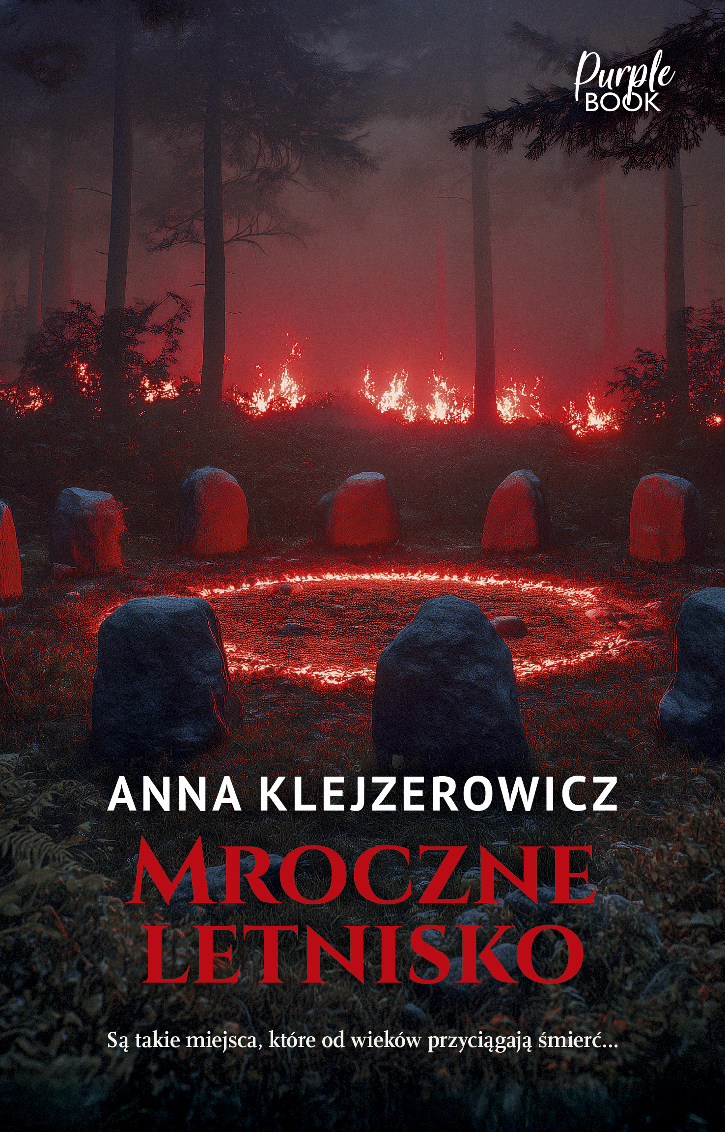 Tytuł: Mroczne letnisko
Autor: Anna Klejzerowicz
Wydawnictwo: Purple Book
Formaty: EPUB, MOBI