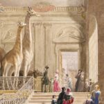 Tytuł: Muzeum. Historia światowa
Autor: Krzysztof Pomian
Wydawnictwo: Słowo/Obraz Terytoria
Formaty: MOBI, EPUB