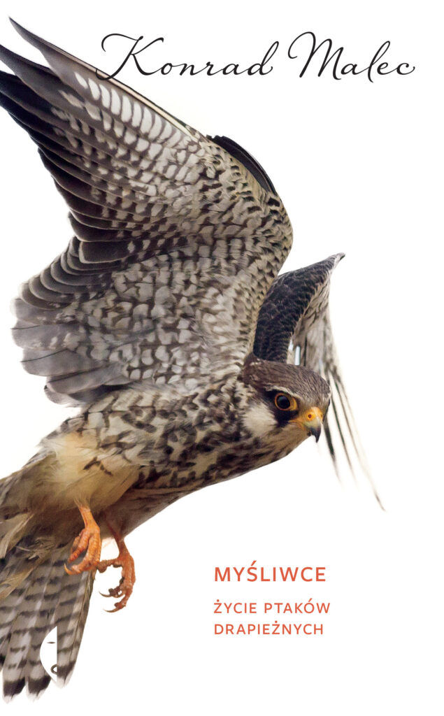 Myśliwce. Życie ptaków drapieżnych — okładka