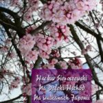 Na Daleki Wschód. Na wulkanach Japonii — okładka e-booka