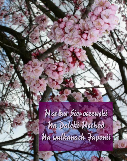 Tytuł: Na Daleki Wschód. Na wulkanach Japonii
Autor: Wacław Sieroszewski
Wydawnictwo: Armoryka
Formaty: MOBI, EPUB