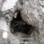 Tytuł: Na dnie życia
Autor: Waleria Marrené-Morzkowska
Wydawnictwo: Armoryka
Formaty: MOBI, EPUB