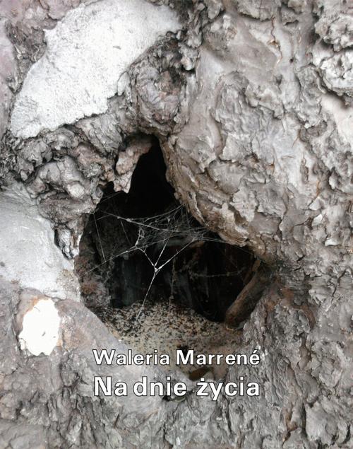 Tytuł: Na dnie życia
Autor: Waleria Marrené-Morzkowska
Wydawnictwo: Armoryka
Formaty: MOBI, EPUB