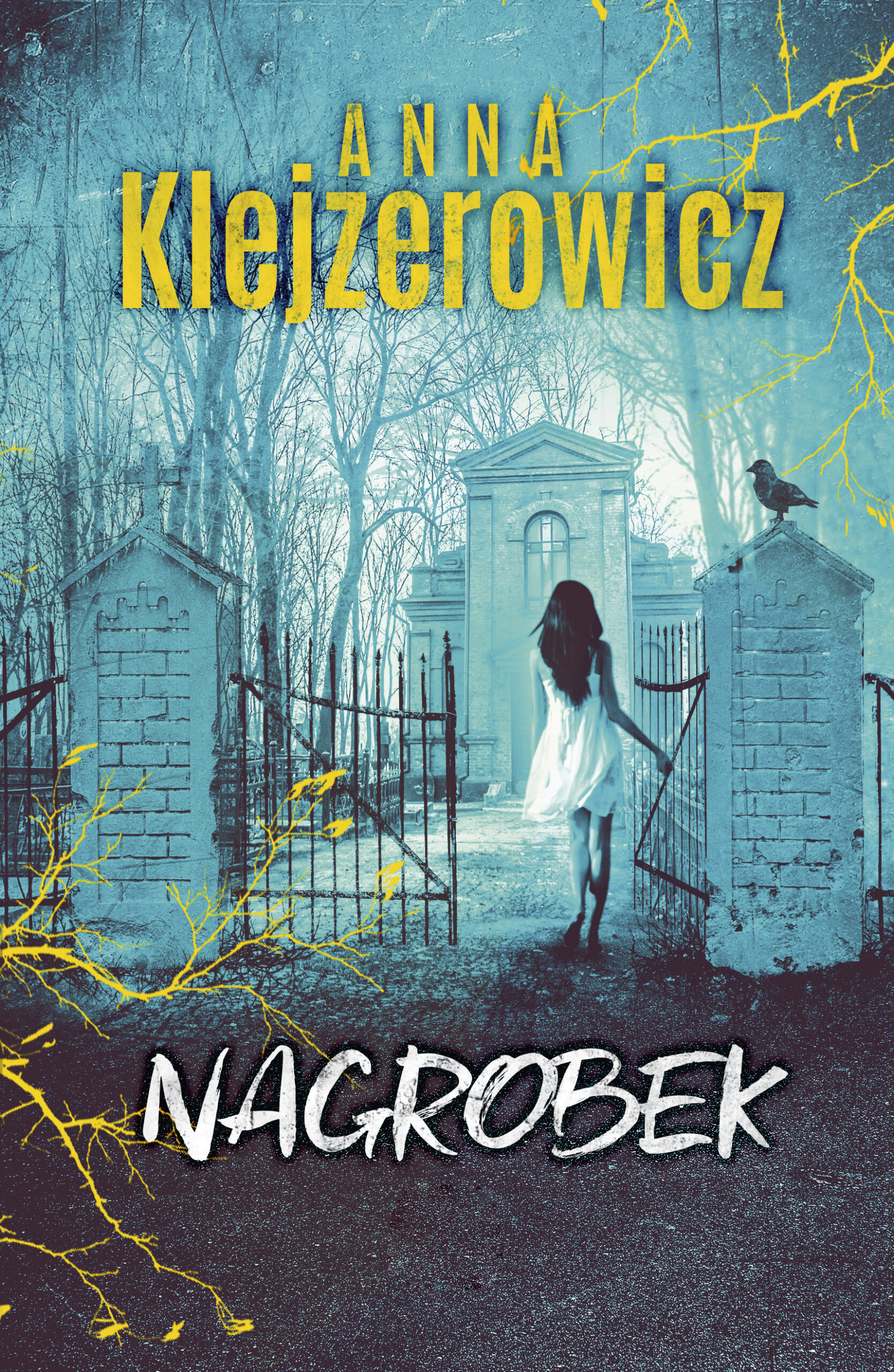 Tytuł: Nagrobek
Autor: Anna Klejzerowicz
Wydawnictwo: Purple Book
Formaty: EPUB, MOBI