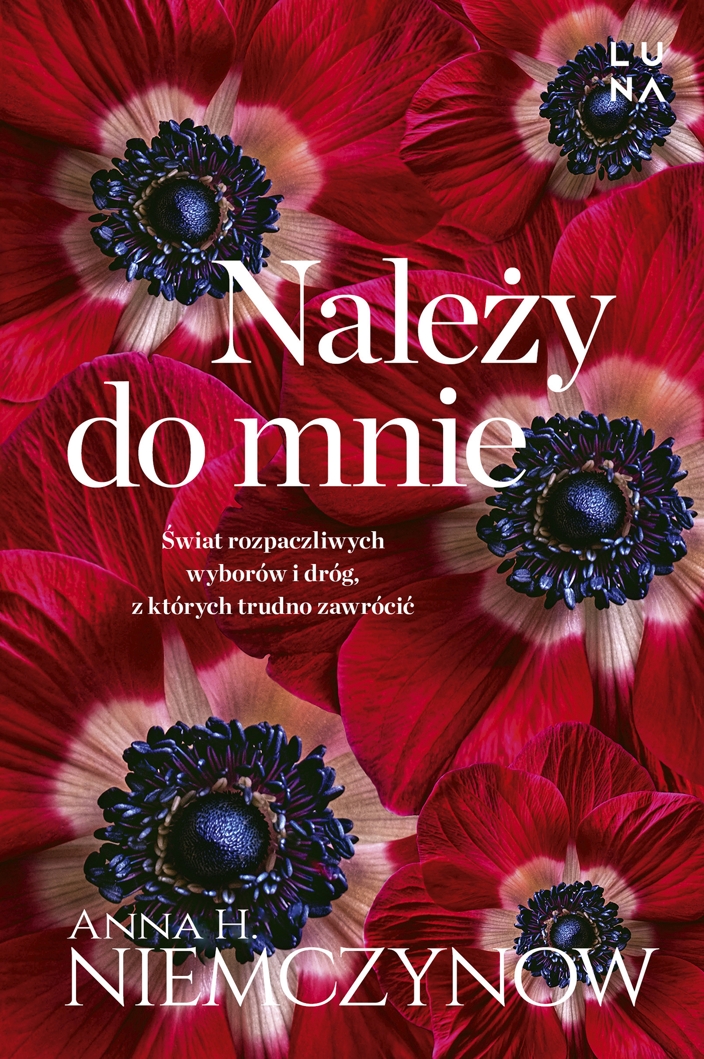 Tytuł: Należy do mnie
Autor: Anna H. Niemczynow
Wydawnictwo: Wydawnictwo Luna
Formaty: EPUB, MOBI