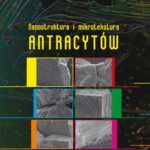 Nanostruktura i mikrotekstura antracytów — okładka e-booka
