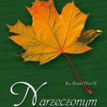 Narzeczonym ku rozwadze — okładka e-booka