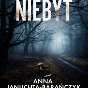 Niebyt — okładka