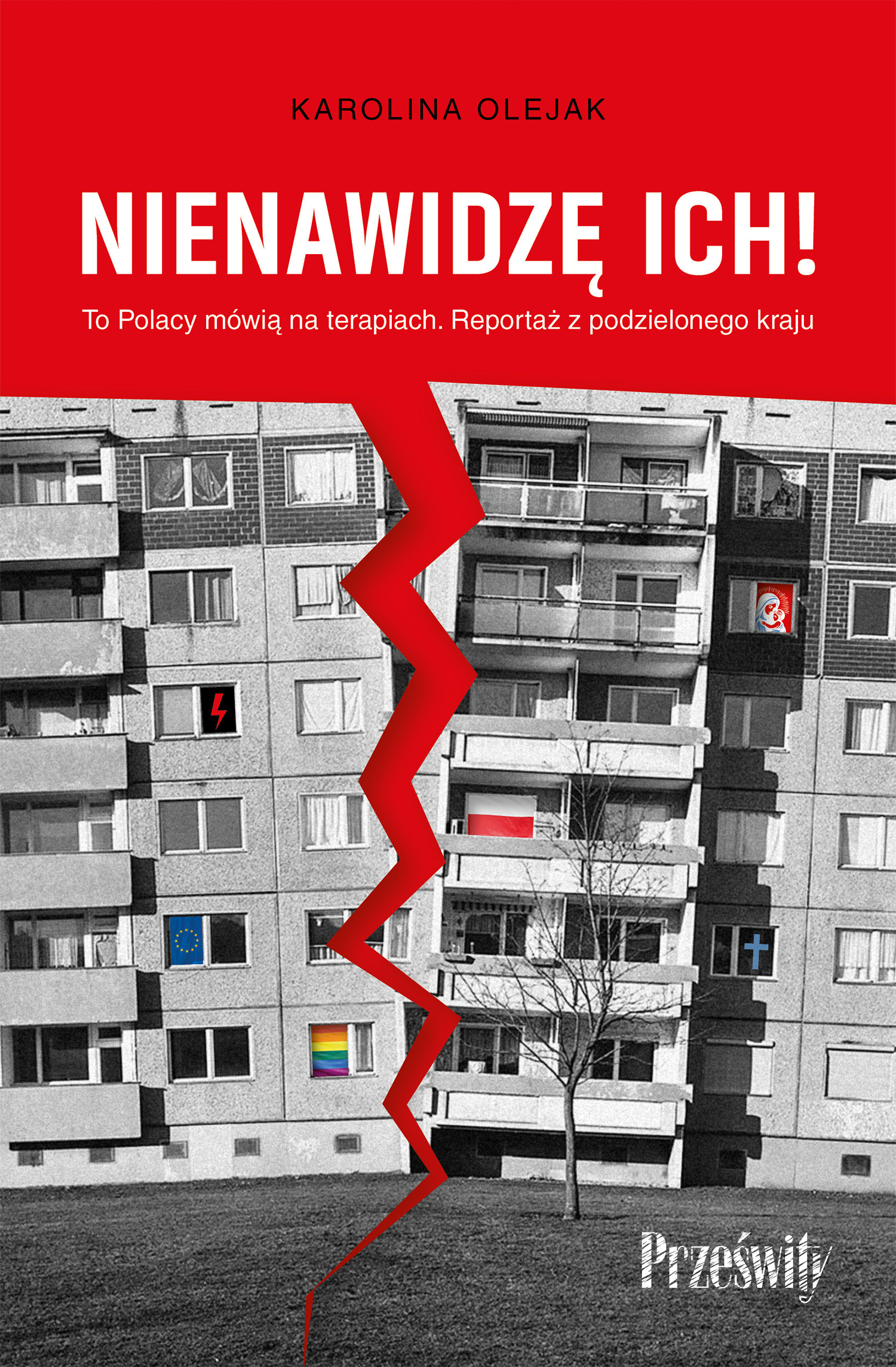 Nienawidzę ich!. To Polacy mówią na terapiach. Reportaż z podzielonego kraju — okładka e-booka