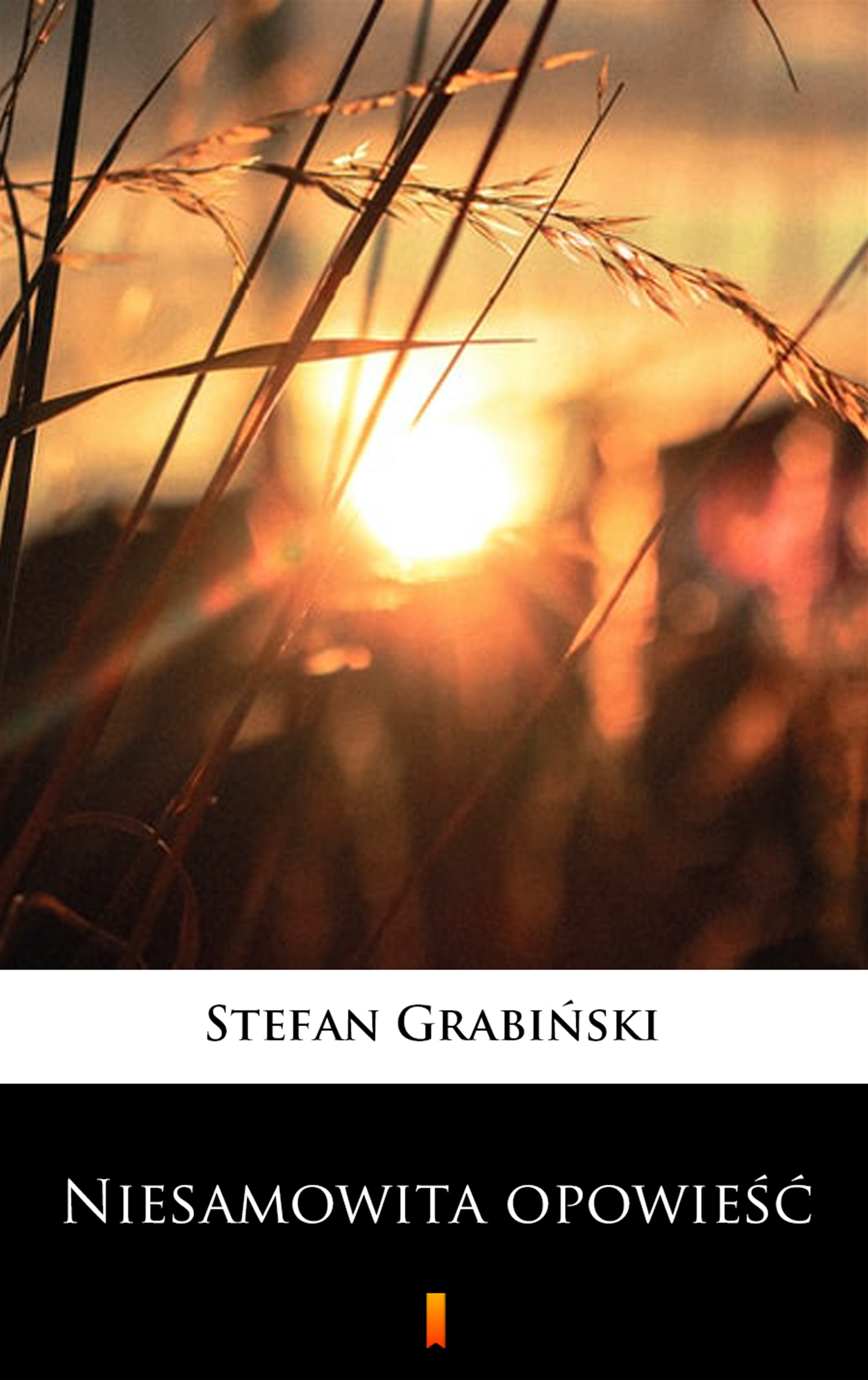 Tytuł: Niesamowita opowieść
Autor: Stefan Grabiński
Wydawnictwo: KtoCzyta.pl
Formaty: EPUB, MOBI