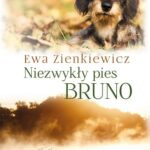 Niezwykły pies Bruno — okładka e-booka