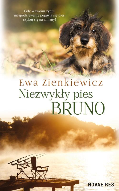 Niezwykły pies Bruno — okładka e-booka
