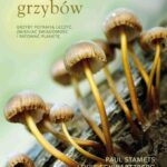 Niezwykły świat grzybów — okładka e-booka