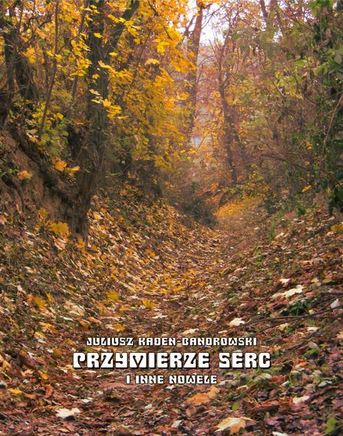 Tytuł: Nikt nie chce mojej śmierci
Autor: Juliusz Kaden-Bandrowski
Wydawnictwo: Armoryka
Formaty: EPUB, MOBI