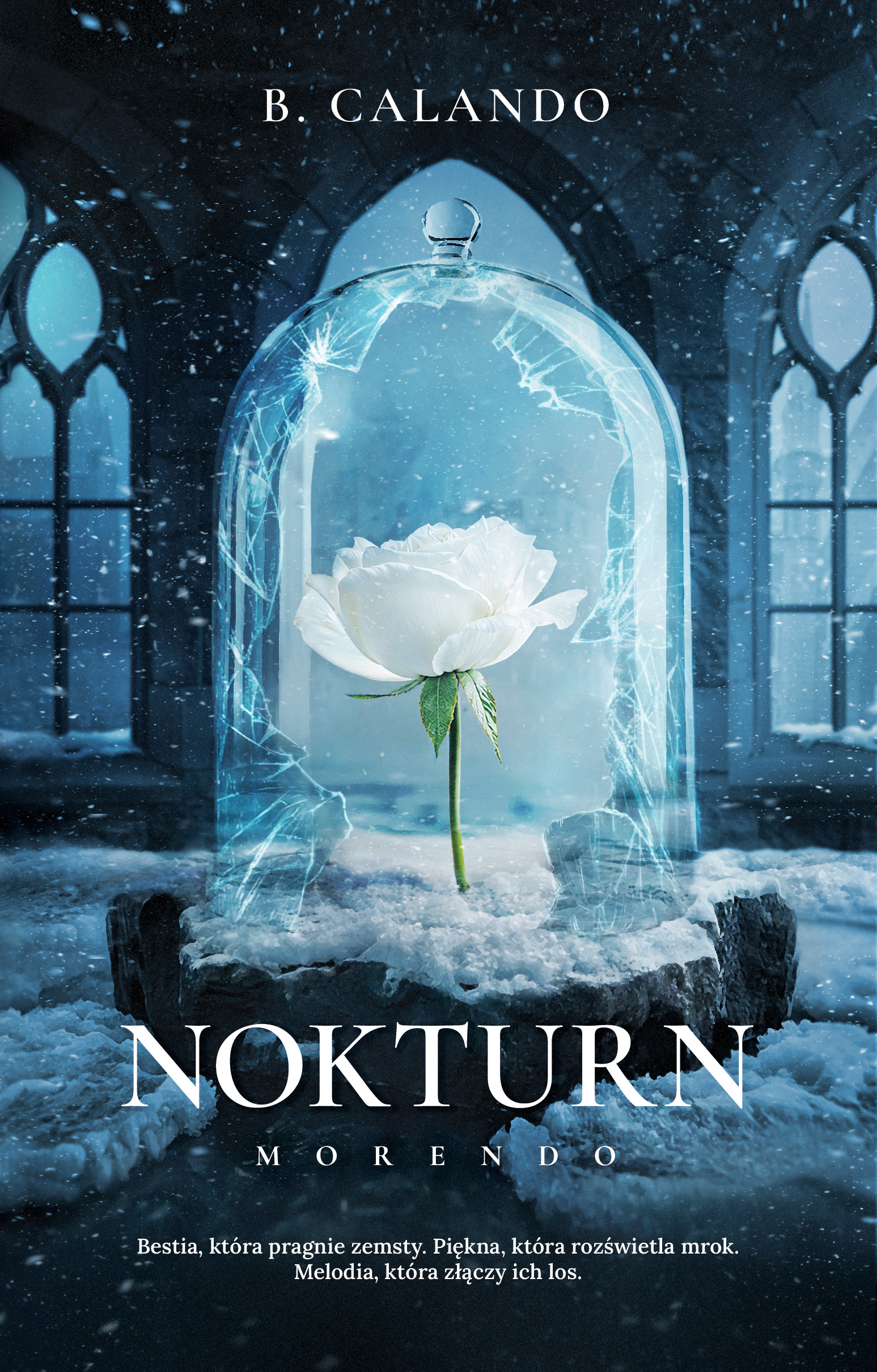 Tytuł: Nokturn
Autor: B. Calando
Wydawnictwo: Muza
Formaty: EPUB, MOBI
