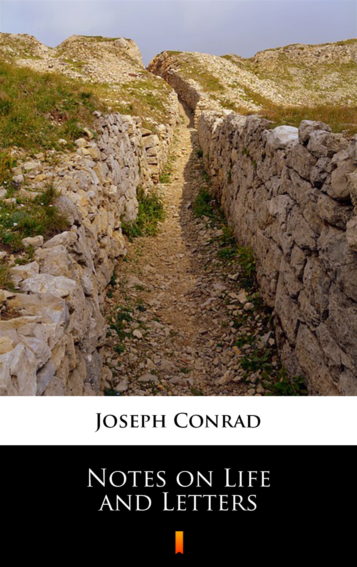 Tytuł: Notes on Life and Letters
Autor: Joseph Conrad
Wydawnictwo: KtoCzyta.pl
Formaty: EPUB, MOBI