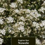 Tytuł: Nowele
Autor: Eugène Sue
Wydawnictwo: Armoryka
Formaty: MOBI, EPUB