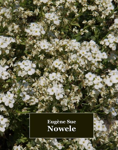 Tytuł: Nowele
Autor: Eugène Sue
Wydawnictwo: Armoryka
Formaty: MOBI, EPUB