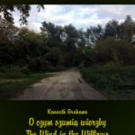 Tytuł: O czym szumią wierzby. The Wind in the Willows
Autor: Kenneth Grahame
Wydawnictwo: Armoryka
Formaty: EPUB, MOBI