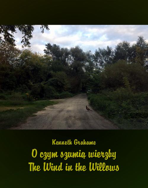 Tytuł: O czym szumią wierzby. The Wind in the Willows
Autor: Kenneth Grahame
Wydawnictwo: Armoryka
Formaty: EPUB, MOBI