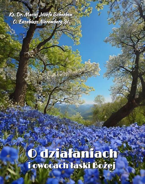 O działaniach i owocach łaski Bożej — okładka e-booka