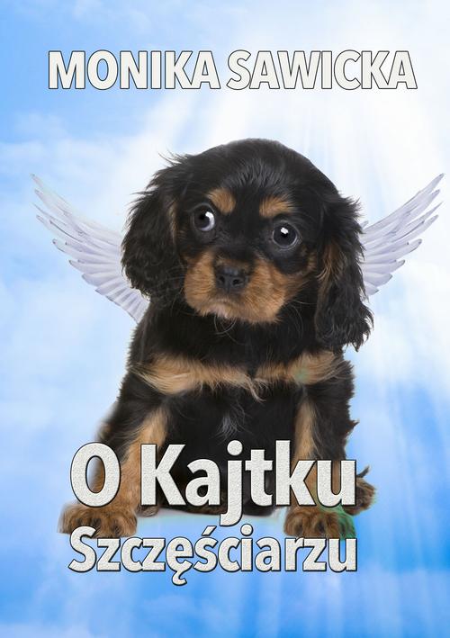 Tytuł: O Kajtku szczęściarzu
Autor: Monika Sawicka
Wydawnictwo: Wydawnictwo e-bookowo
Formaty: MOBI, PDF, EPUB