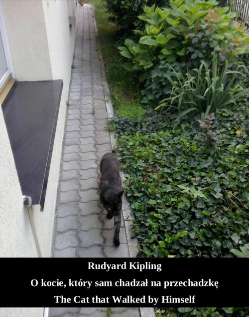 Tytuł: O kocie, który sam chadzał na przechadzkę. The Cat that Walked by Himself
Autor: Rudyard Kipling
Wydawnictwo: Armoryka
Formaty: EPUB, MOBI