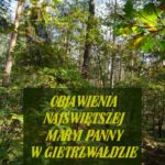 Objawienia Najświętszej Maryi Panny W Gietrzwałdzie. Ze źródeł autentycznych — okładka e-booka