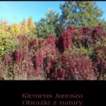 Tytuł: Obrazki z natury
Autor: Klemens Junosza
Wydawnictwo: Armoryka
Formaty: EPUB, MOBI