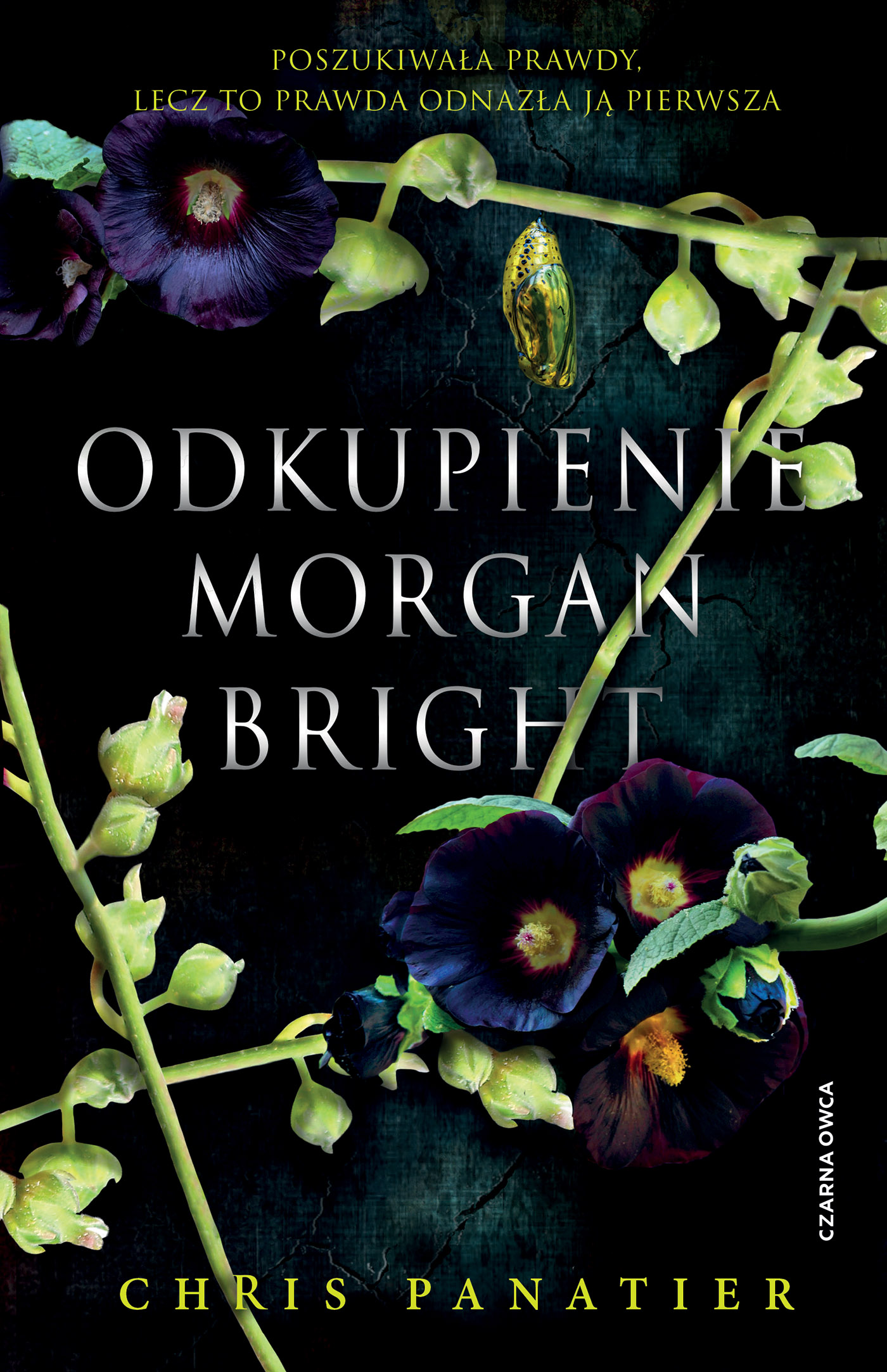 Tytuł: Odkupienie Morgan Bright
Autor: Chris Panatier
Wydawnictwo: Wydawnictwo Czarna Owca
Formaty: EPUB, MOBI