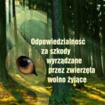 Tytuł: Odpowiedzialność za szkody wyrządzone przez zwierzęta wolno żyjące
Autor: Kamila Piernik-Wierzbowska
Wydawnictwo: Wydawnictwo Uniwersytetu Kazimierza Wielkiego w Bydgoszczy
Formaty: PDF
