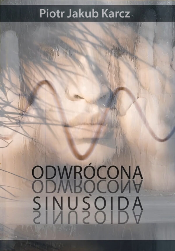 Odwrócona sinusoida — okładka e-booka
