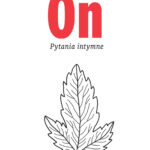 Tytuł: On. Pytania intymne
Autor: Zbigniew Lew-Starowicz
Wydawnictwo: Czerwone i Czarne
Formaty: EPUB, MOBI