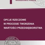 Opcje rzeczowe w procesie tworzenia wartości przedsiębiorstwa — okładka e-booka