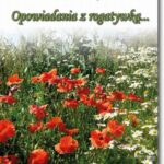 Tytuł: Opowiadania z rogatywką
Autor: Kazimierz Dymek
Wydawnictwo: BEL Studio
Formaty: PDF
