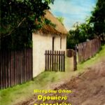 Tytuł: Opowieść o płanetniku
Autor: Władysław Orkan
Wydawnictwo: Armoryka
Formaty: EPUB, MOBI