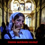 Tytuł: Ostatnia mohikanka. Opowieść prostytutki
Autor: Leo Belmont
Wydawnictwo: Armoryka
Formaty: MOBI, EPUB