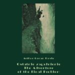 Ostatnie zagadnienie. The Adventure of the Final Problem — okładka e-booka