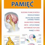 Pamięć — okładka e-booka