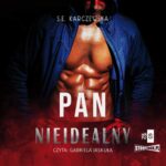 Pan Nieidealny — okładka audiobooka