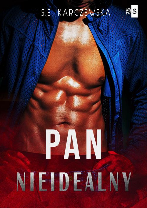 Pan nieidealny — okładka e-booka