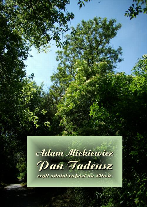 Tytuł: Pan Tadeusz, czyli ostatni zajazd na Litwie
Autor: Adam Mickiewicz
Wydawnictwo: Armoryka
Formaty: EPUB, MOBI