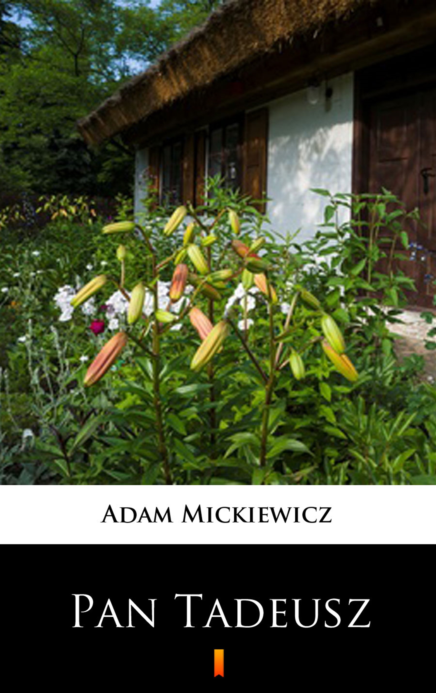 Tytuł: Pan Tadeusz. Czyli Ostatni zajazd na Litwie
Autor: Adam Mickiewicz
Wydawnictwo: KtoCzyta.pl
Formaty: EPUB, MOBI