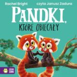 Tytuł: Pandki, które obiecały
Autor: Rachel Bright
Wydawnictwo: Zielona Sowa
Formaty: MP3