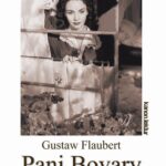 Pani Bovary — okładka e-booka
