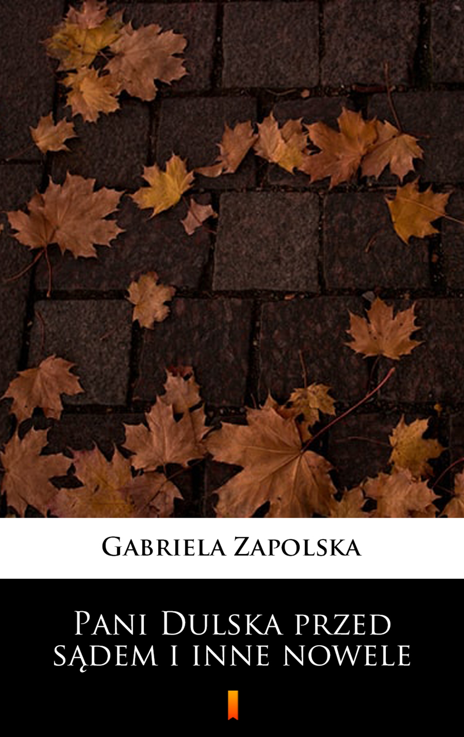 Tytuł: Pani Dulska przed sądem i inne nowele
Autor: Gabriela Zapolska
Wydawnictwo: KtoCzyta.pl
Formaty: EPUB, MOBI