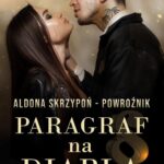 Paragraf na diabła — okładka e-booka