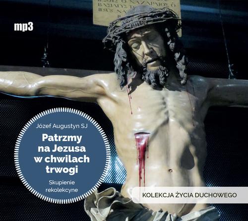 Tytuł: Patrzmy na Jezusa w chwilach trwogi
Autor: Józef Augustyn
Wydawnictwo: WAM
Formaty: MP3