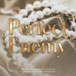 Perfect enemy — okładka e-booka